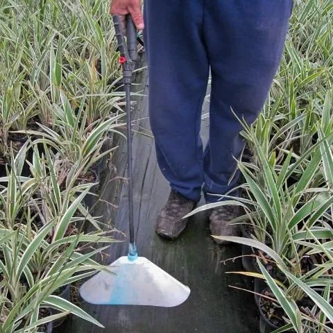 thumbnail for publication: Proper Use and Handling of Glyphosate in Plant Nurseries